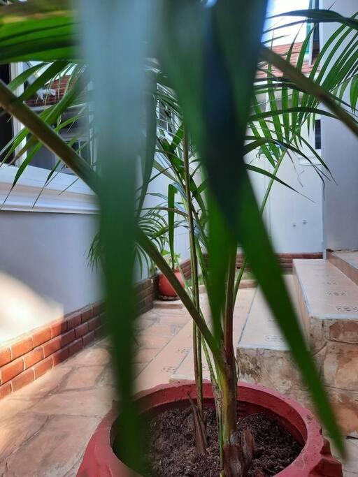 Ellyz Home Stay Moshi Ngoại thất bức ảnh